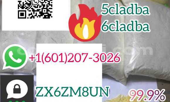 Medium with watermark whatsapp image 2023 06 12 at 01.42.11 3 