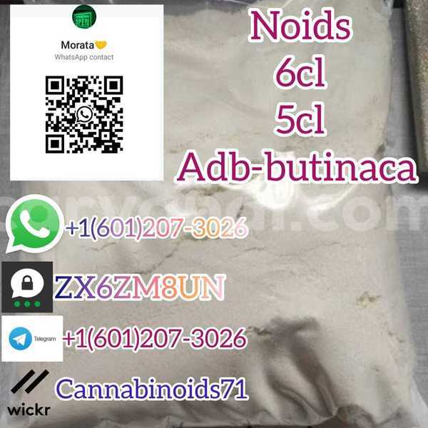 Big with watermark whatsapp image 2023 06 12 at 01.42.10