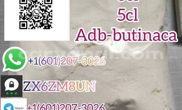 Medium with watermark whatsapp image 2023 06 12 at 01.42.10