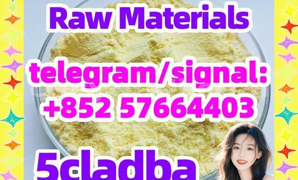 Medium with watermark 52