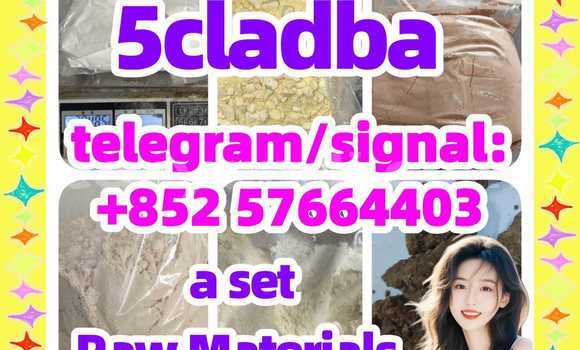Medium with watermark 510