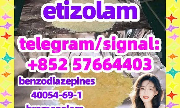 etizolam 40054-69-1 