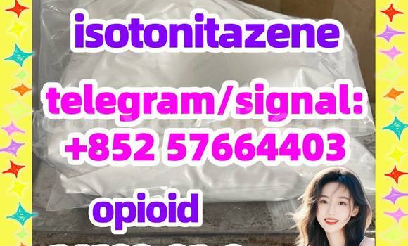 Isotonitazene 14188-81-9