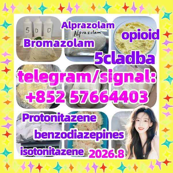 Big with watermark z1