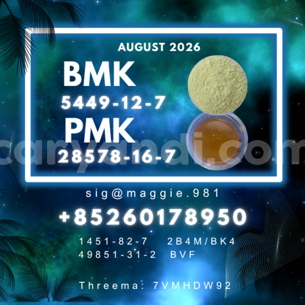 Big with watermark bmk cas 5449 12 7 glycidic acid