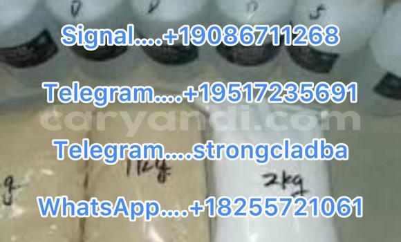 Medium with watermark a12