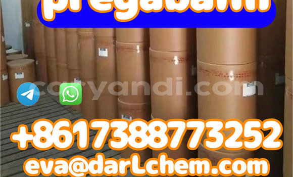 Medium with watermark pre387