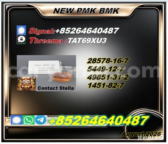 Big with watermark 2026 08 04 082801