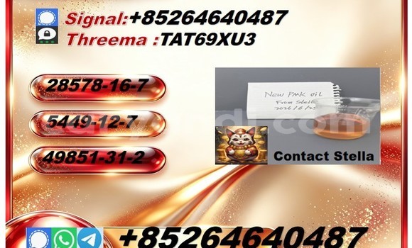 Medium with watermark 2026 08 04 082538
