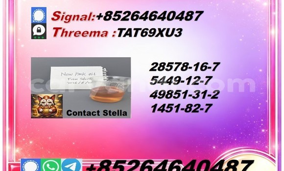 Medium with watermark 2026 08 04 082443