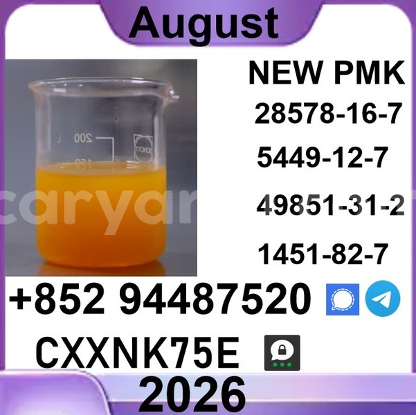 Big with watermark p50