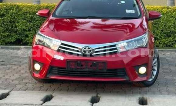 Buy Used Toyota Corolla Other Car in Lusaka in Zambia