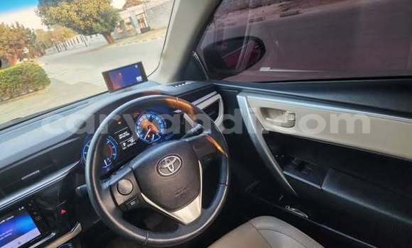 Buy Used Toyota Corolla Other Car in Lusaka in Zambia Buy Used Toyota Corolla Other Car in Lusaka in Zambia