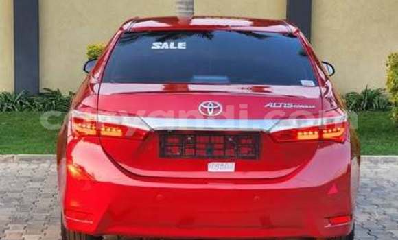 Buy Used Toyota Corolla Other Car in Lusaka in Zambia Buy Used Toyota Corolla Other Car in Lusaka in Zambia