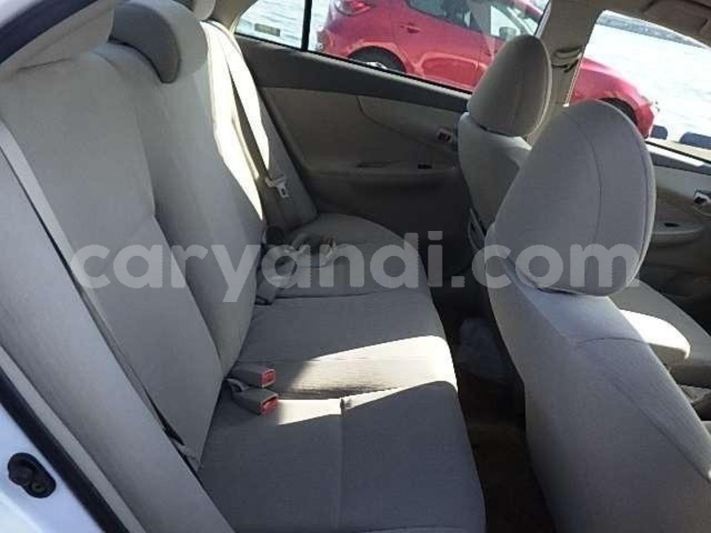 Big with watermark 30e9cb69 8cb2 45e2 ba8e b50a24fced95