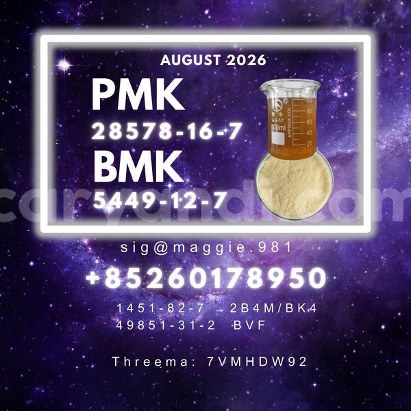 Big with watermark pmk cas 28578 16 7 pharmaceutical synthesis use