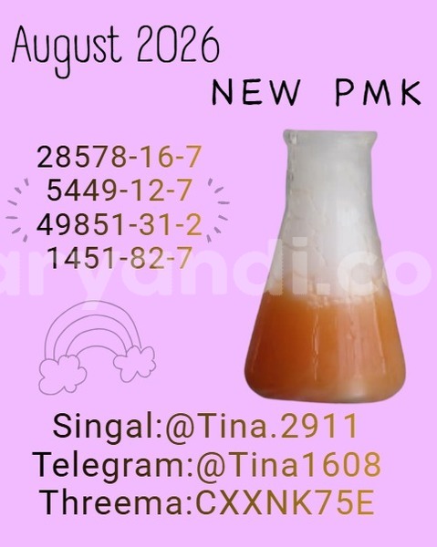 Big with watermark p33