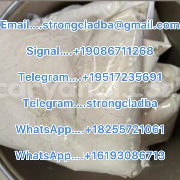 Big with watermark a22