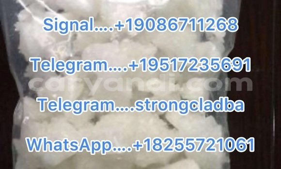 Medium with watermark a15