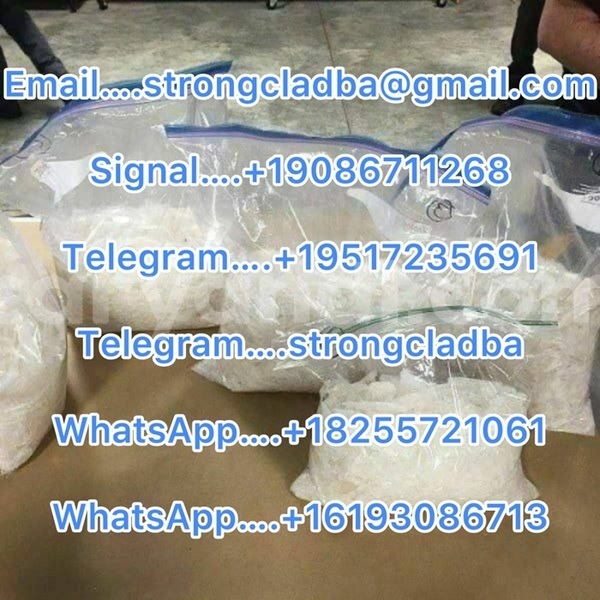 Big with watermark a24