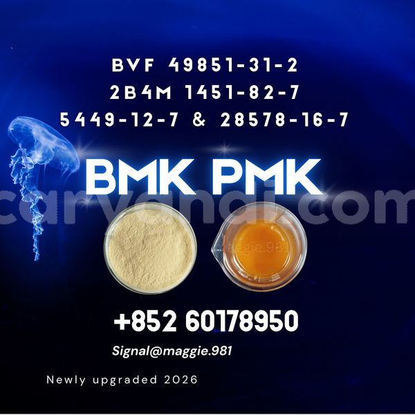 Big with watermark bmk cas 5449 12 7 high purity