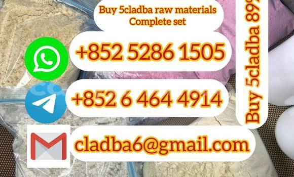 Medium with watermark 548c1738 bccf 479d a3d9 a43bf3d4820e