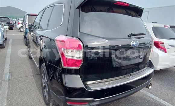 Buy Import Subaru Forester Black Car in Lusaka in Zambia Buy Import Subaru Forester Black Car in Lusaka in Zambia