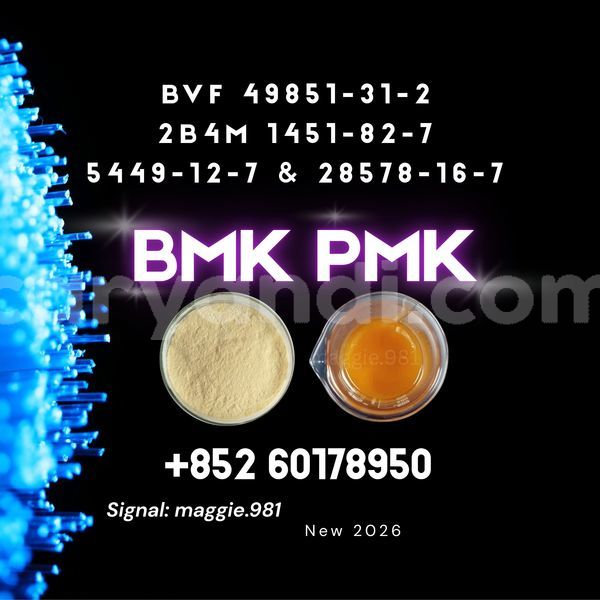 Big with watermark bmk cas 5449 12 7 synthesis reaction vessel