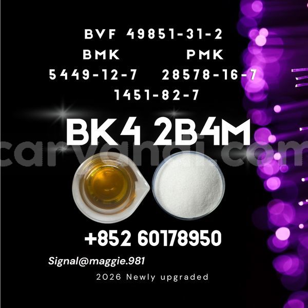 Big with watermark bk4 2b4m cas 1451 82 7 trustworthy supplier