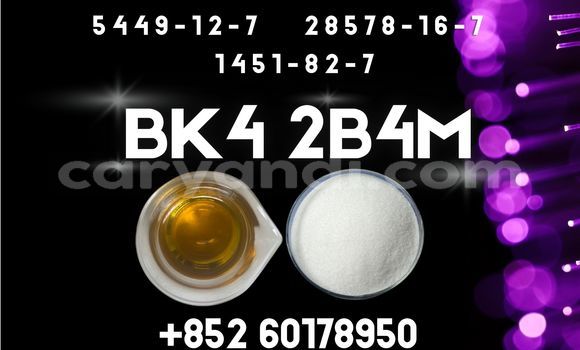Medium with watermark bk4 2b4m cas 1451 82 7 trustworthy supplier