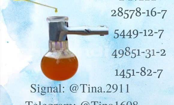 Medium with watermark p11