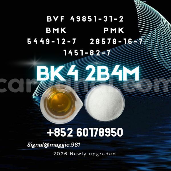 Big with watermark bk4 2b4m cas 1451 82 7 export documentation set