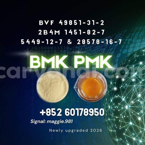 Big with watermark bmk cas 5449 12 7 global delivery