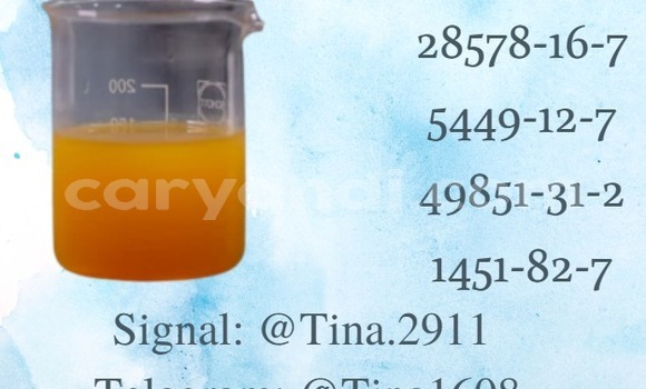 Medium with watermark p13