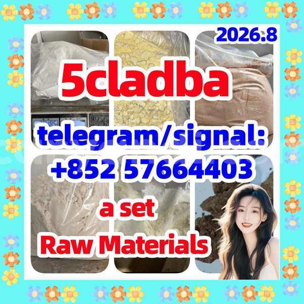 Big with watermark 510