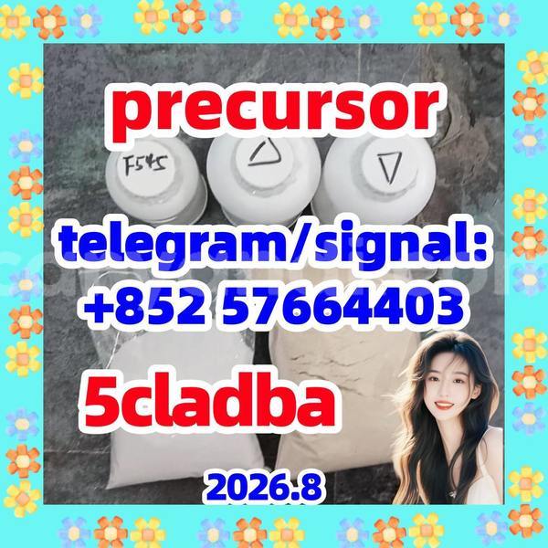 Big with watermark 57