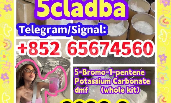 Buy CAS 1119-51-3 in Chingola in Zambia Buy CAS 1119-51-3 in Chingola in Zambia
