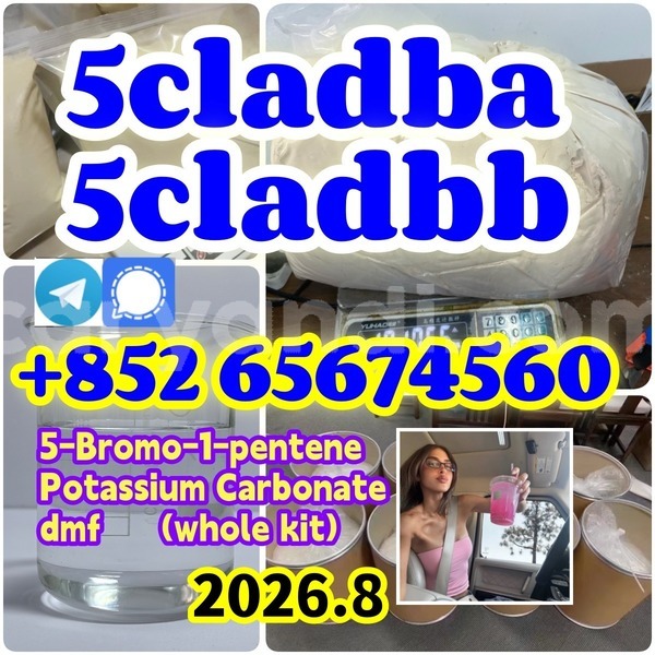 Big with watermark %e6%9c%aa%e5%91%bd%e5%90%8d %e5%89%af%e6%9c%acsdfhgdthryhj