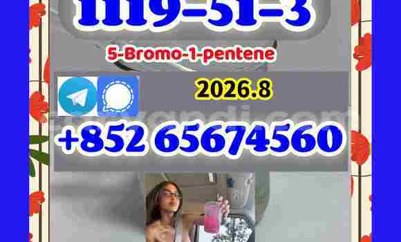  CAS 1119-51-3 