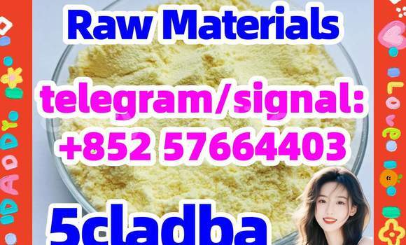 Medium with watermark 51