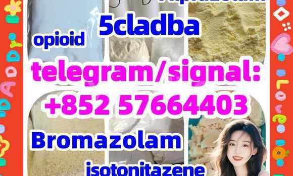 Medium with watermark z1