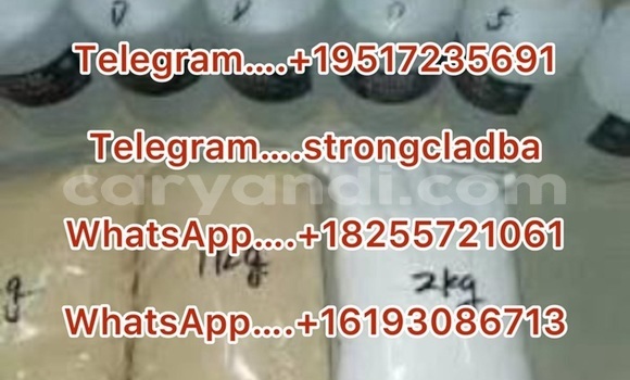 Medium with watermark a12