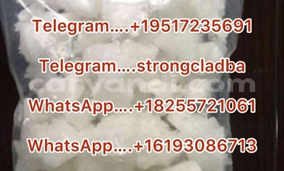 Medium with watermark a15