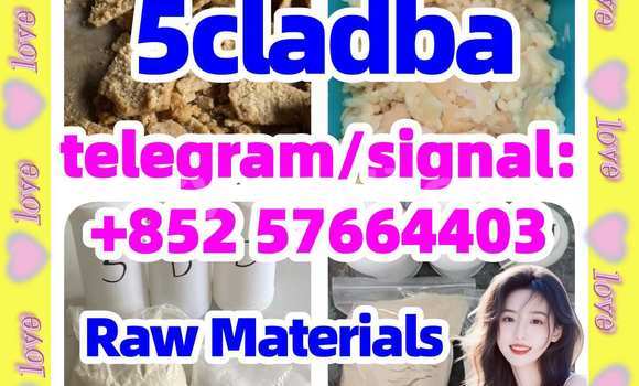Medium with watermark 51