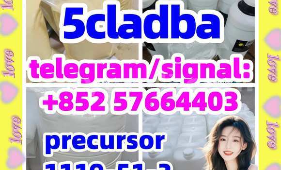 Medium with watermark 52