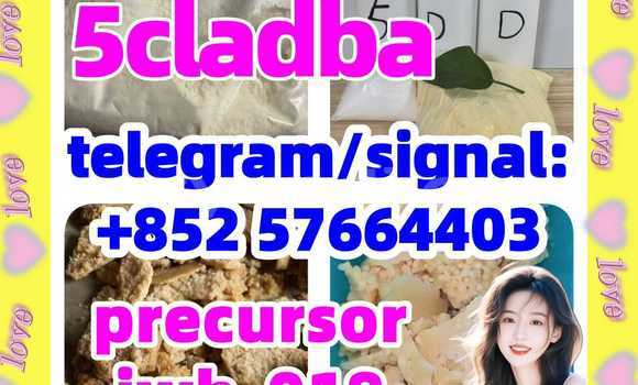 Buy 5cl-adb-a precursor