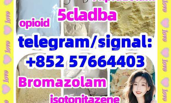 5cladba 5cl yellow