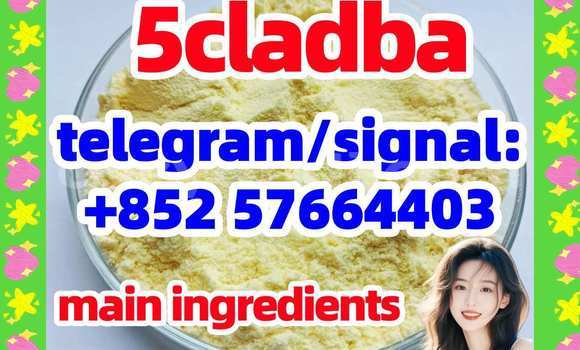 Medium with watermark 51