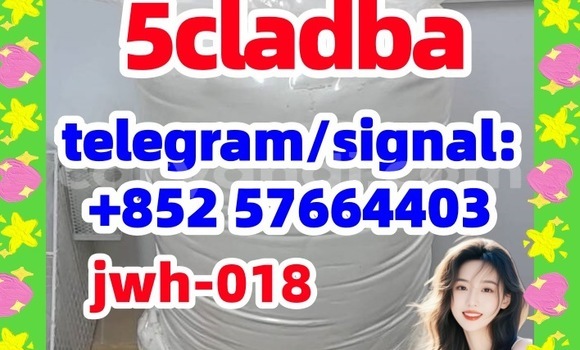 Medium with watermark 53