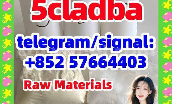 Medium with watermark 55